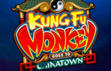 Kungfu Monkey